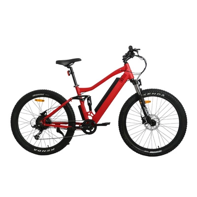 Ηλεκτρικό ποδήλατο Allegro MTB Pro - Ισχύς 1000W | Μπαταρία 25Ah | Ταχύτητα 30mph | Εμβέλεια 105mi